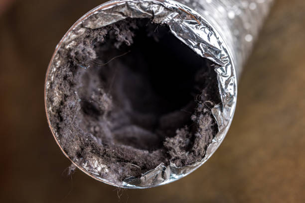 Best Ductwork Cleaning Services  in North Weeki Wachee, FL