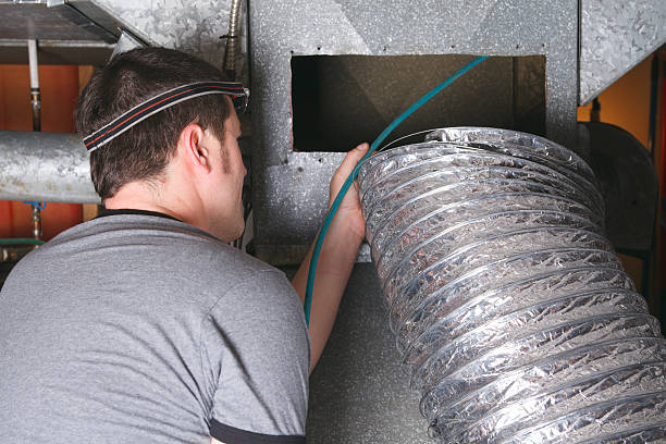 Air Duct Mold Removal